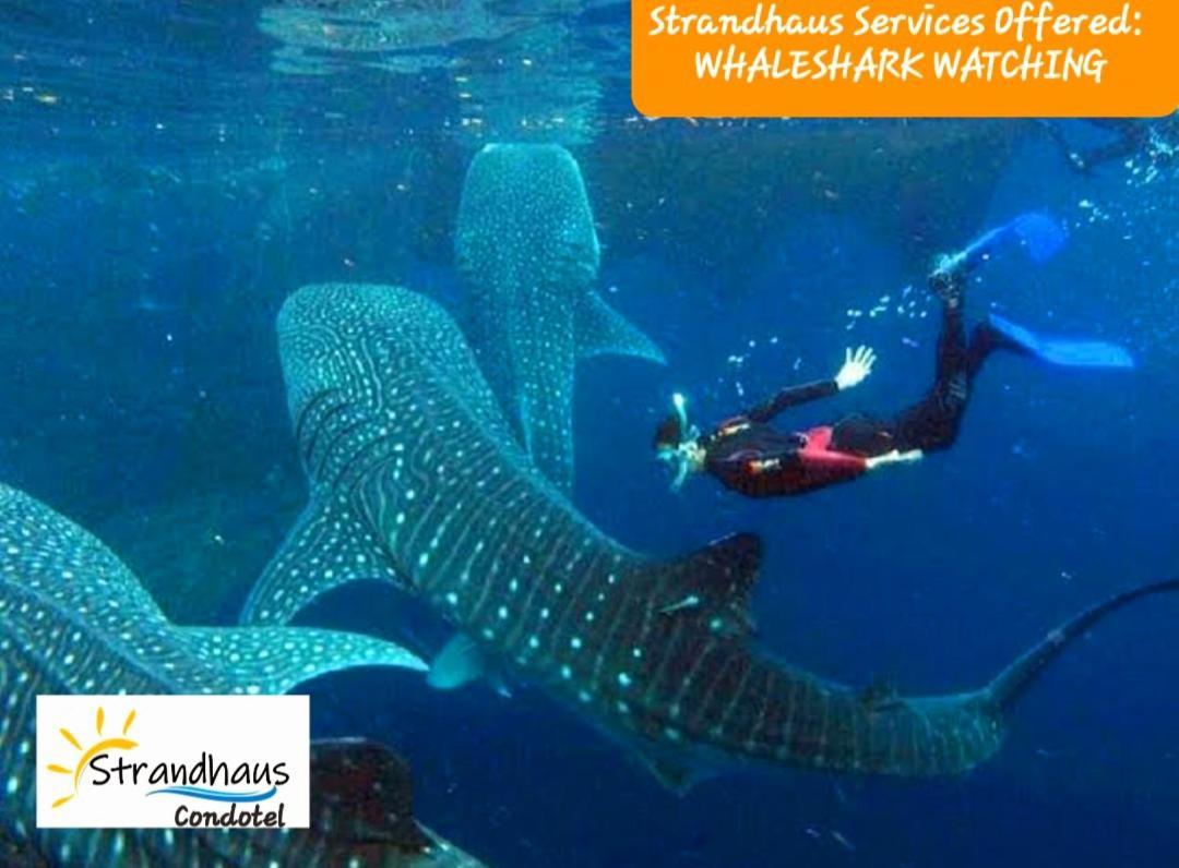 Strandhaus Condotel Moalboal Dış mekan fotoğraf